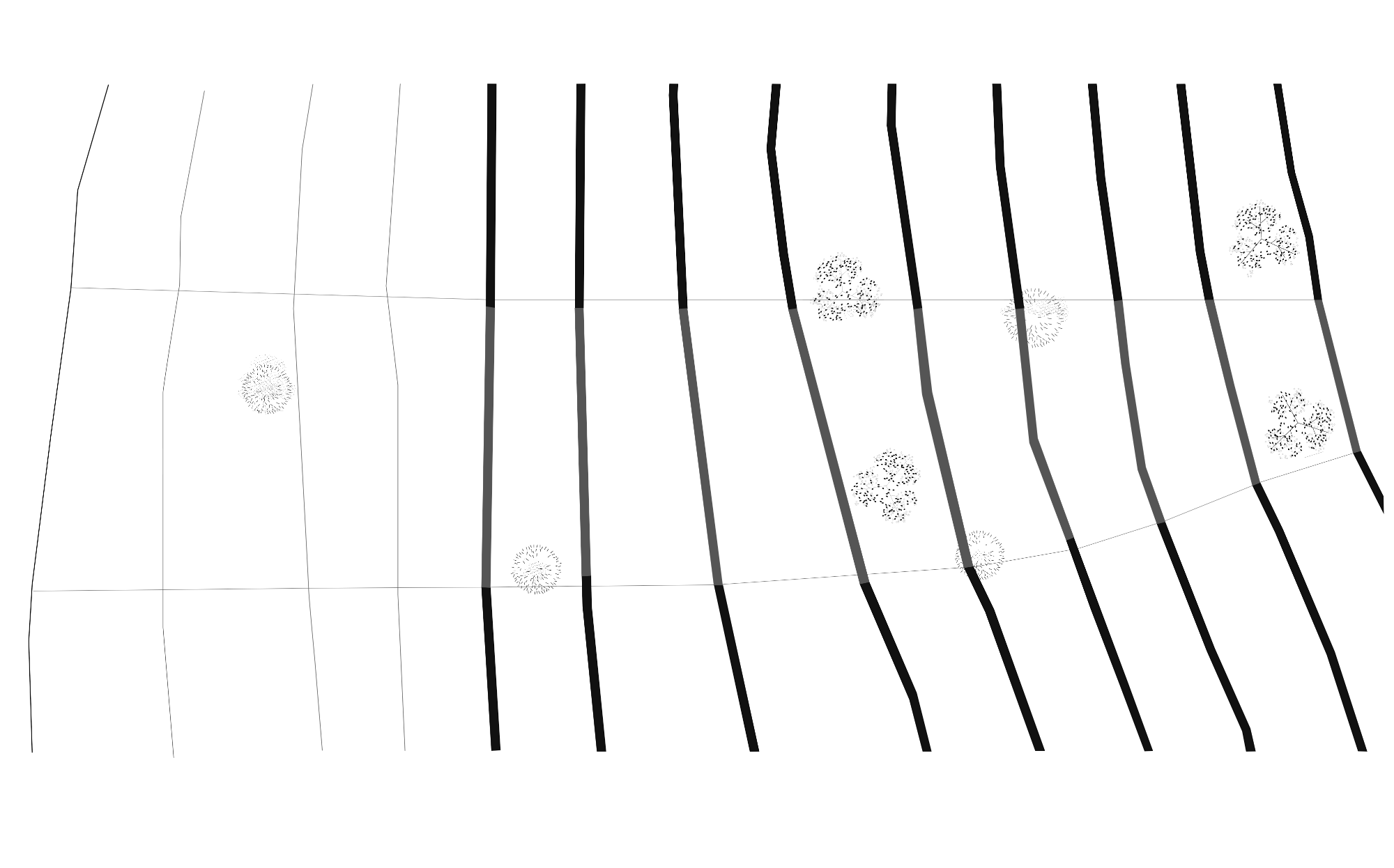 PUB PLAN _ SITUATION 01 leve